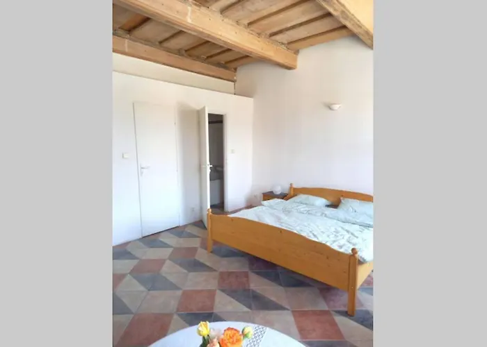Renaissance Vintage Apartment A1