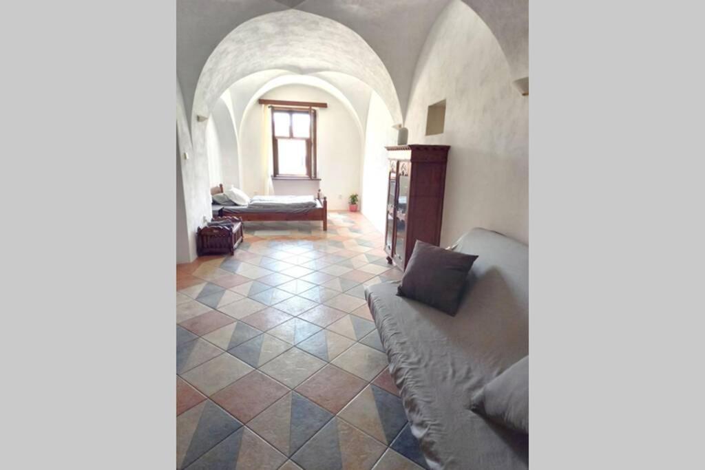 Renaissance Vintage A1 Apartment *